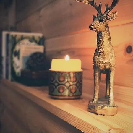 High Parks * 비데일