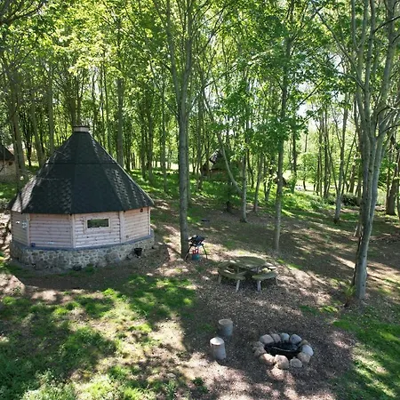 High Parks 비데일