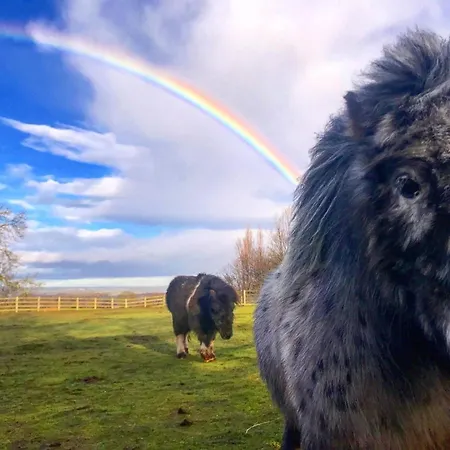 山林小屋 High Parks *