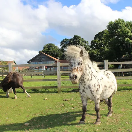 High Parks * 贝德尔