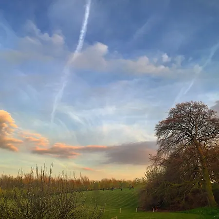 High Parks Деревянный коттедж